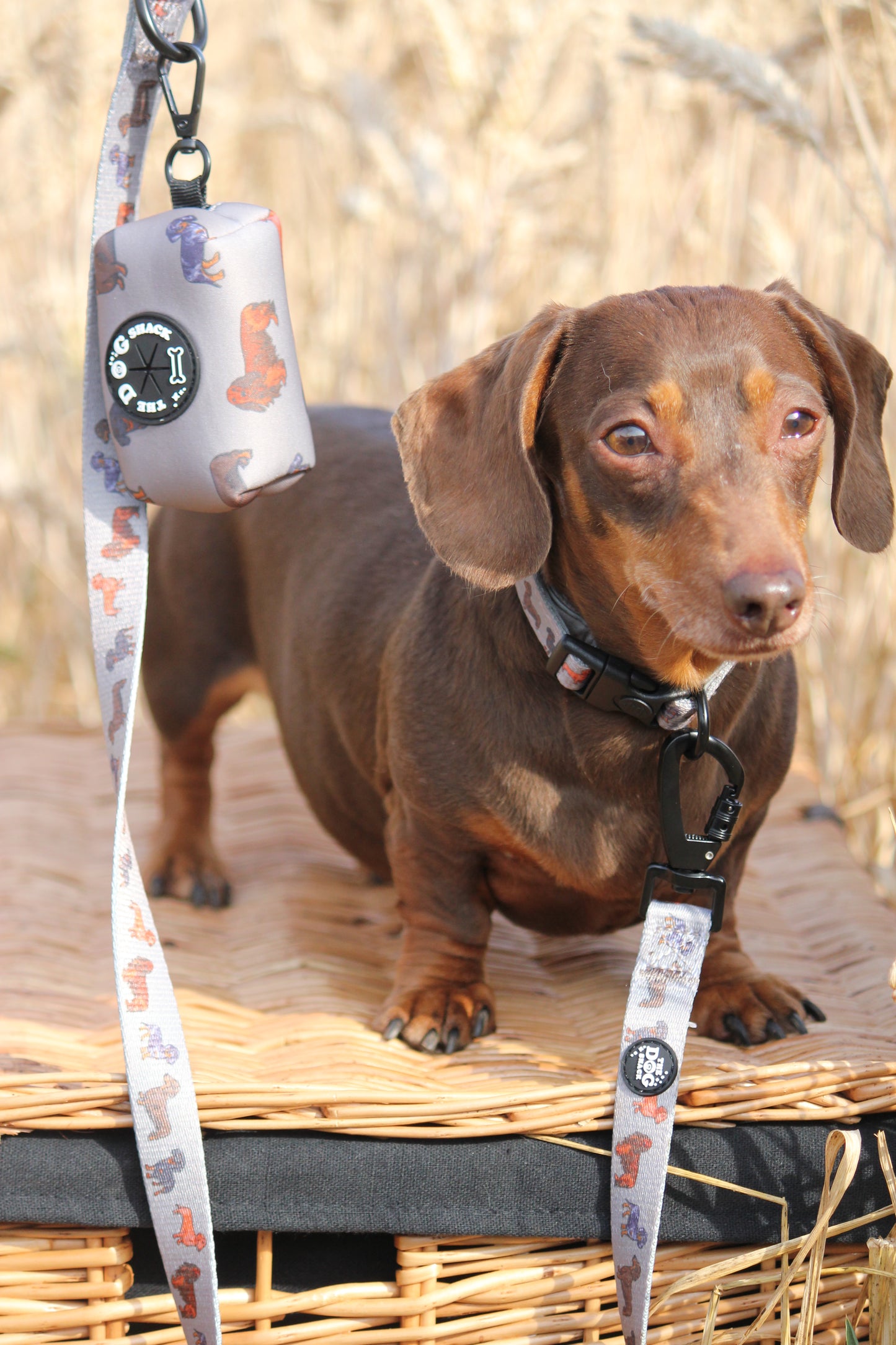 Poo Bag Holder  - Clever Little Sausages