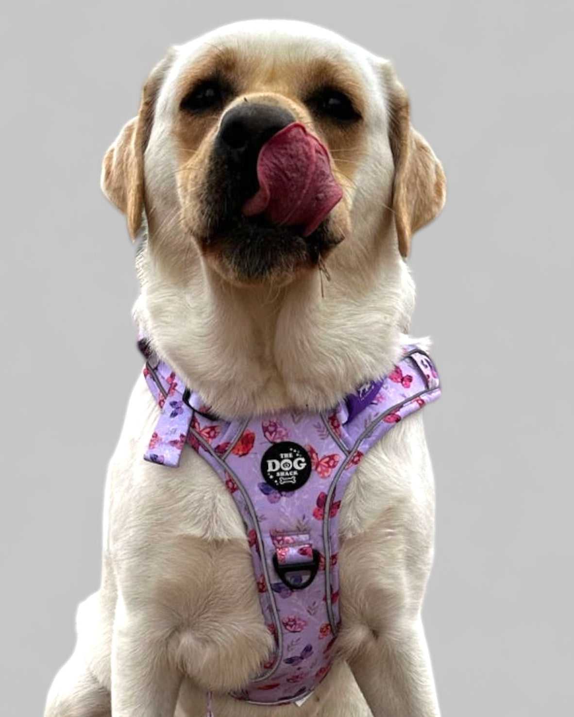 Adjustable 1 Clip & 3 clip harness - You Give Me Butterflies