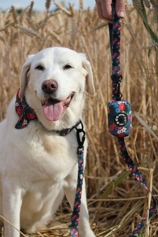 Poo Bag Holder - Ditsy Flowers
