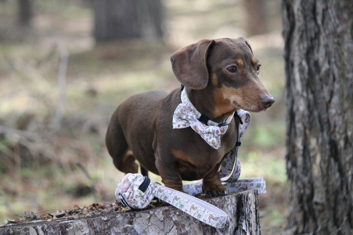 Woodland Hares Adjustable Dog Lead – Country Style