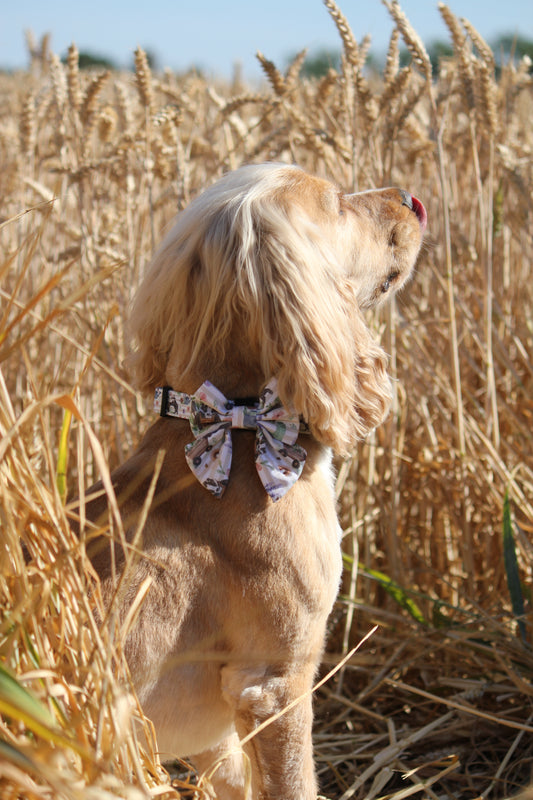 Sailor Bow Tie  - Badger & Friends