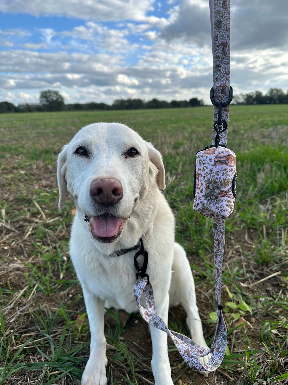 Woodland Hares Country Dog Poo Bag Holder