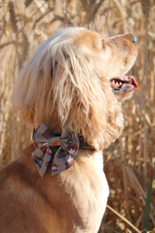 Sailor  Bow Tie  - Spaniel