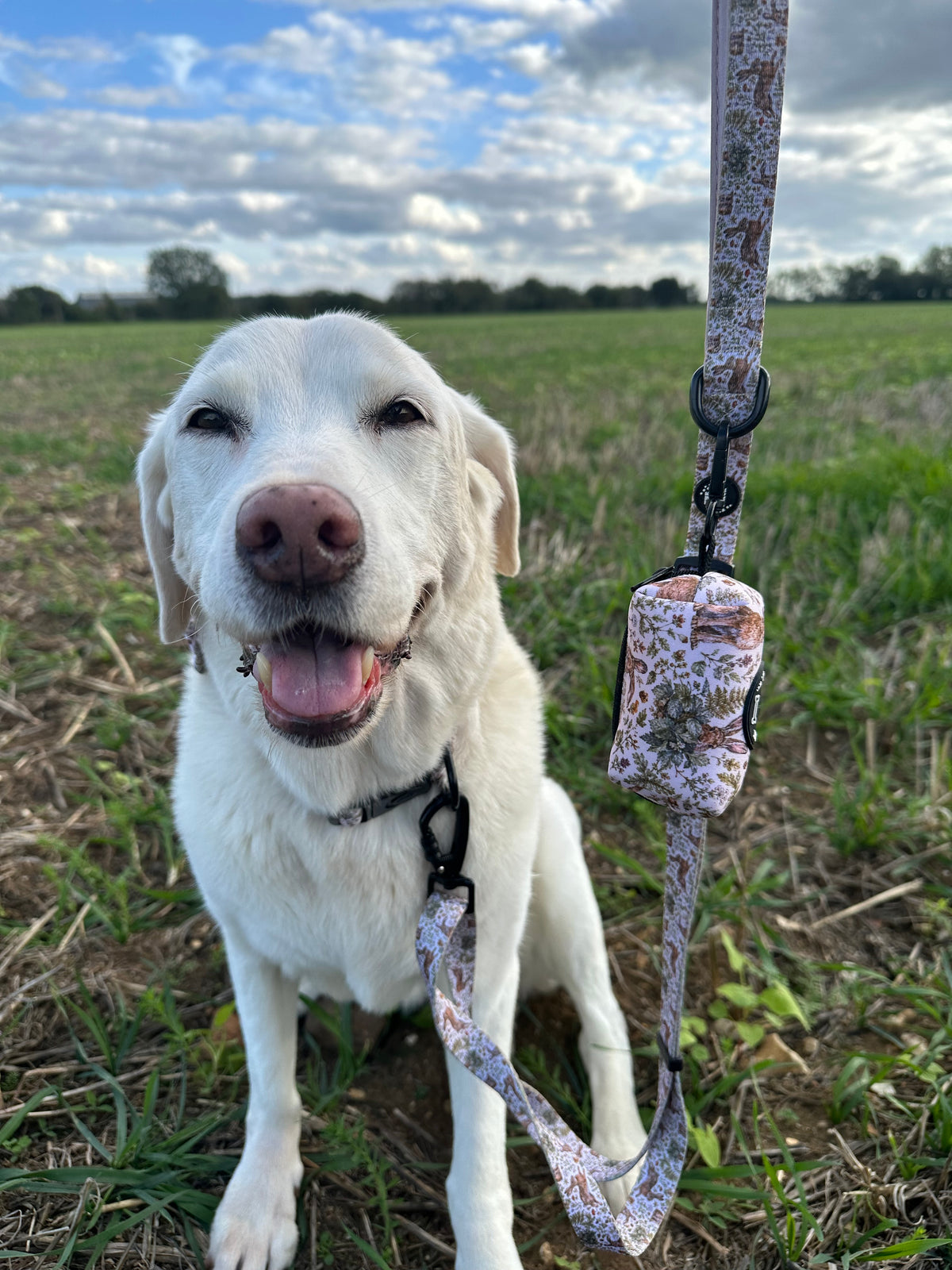 Woodland Hares Country Dog Poo Bag Holder