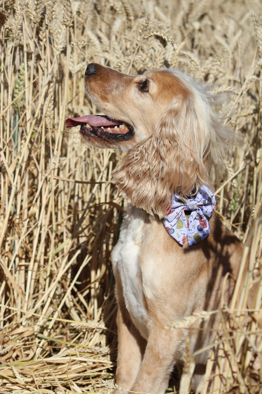 Sailor Bow Tie  - Freddie's Farm
