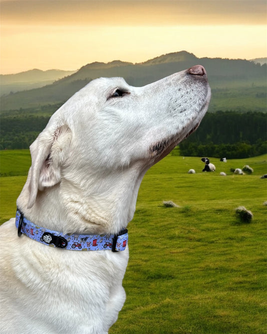 Collar - Freddie's Farm