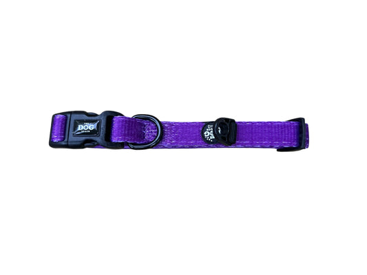 Collar - Neon Purple