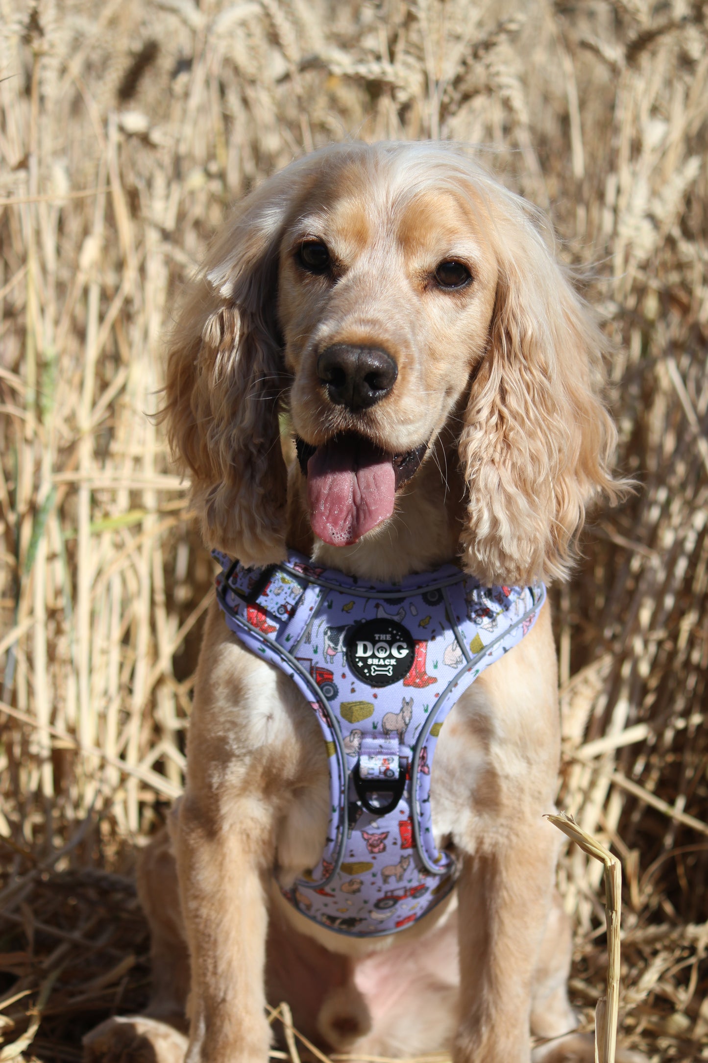 Adjustable 1 Clip & 3 harness - Freddie's Farm