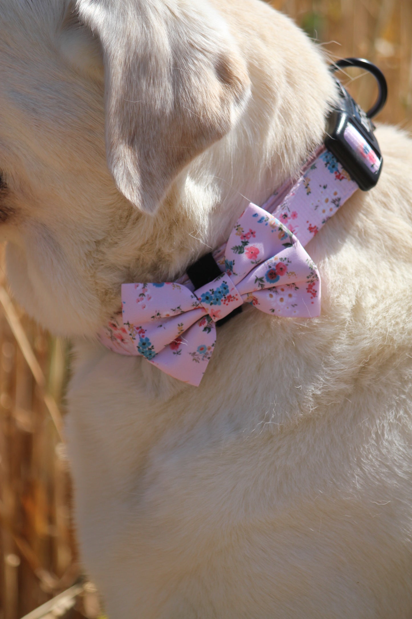 Bow Tie  - Matildas Garden