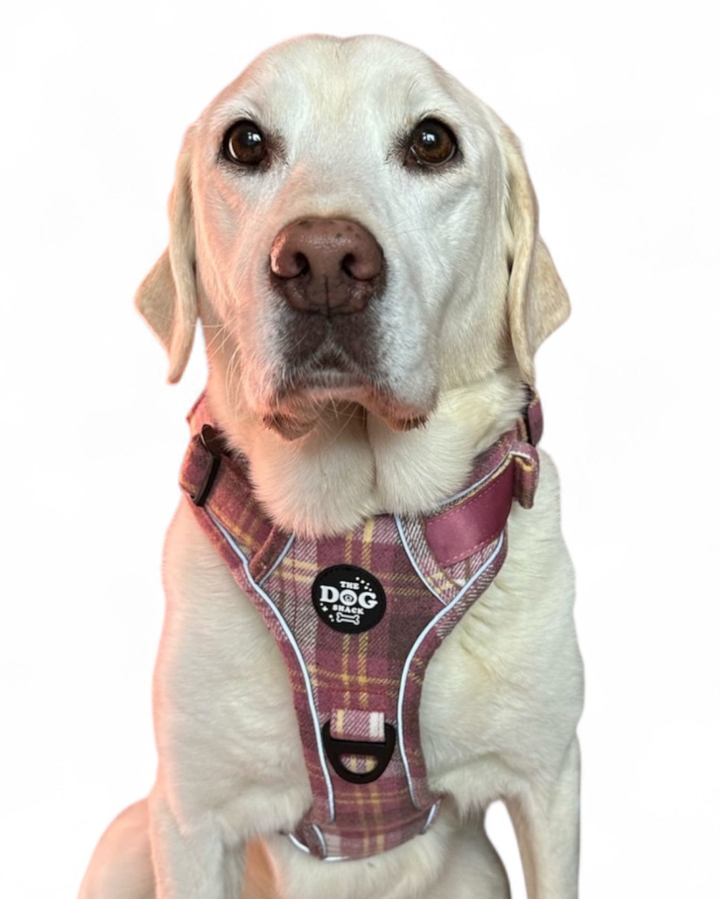 Adjustable 1 Clip & 3 Clip harness  - Raspberry Tweed