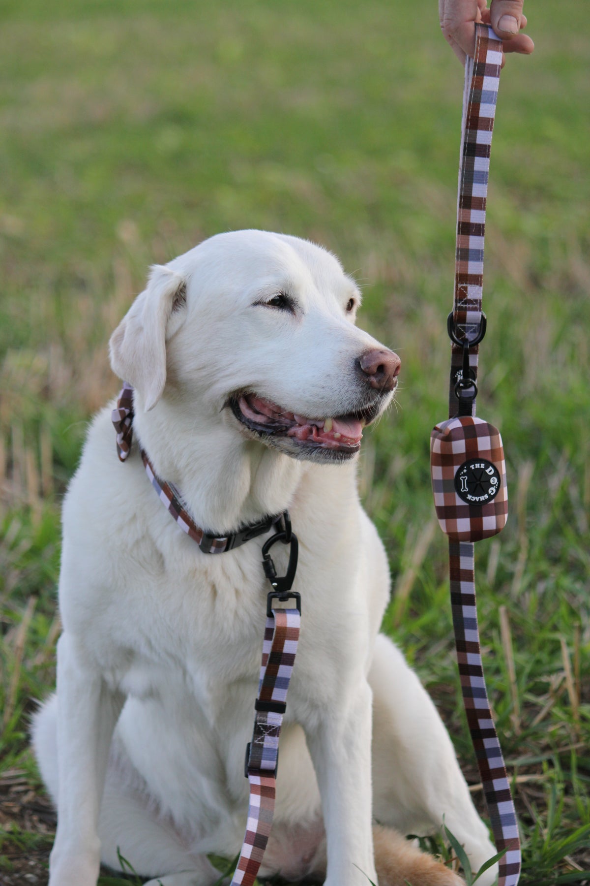 Norfolk Gingham Dog Poo Bag Holder – Country Style