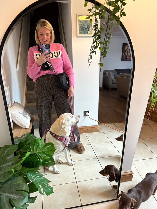 Dog Walking Bag 2 In 1 Bumbag & Handbag - Black