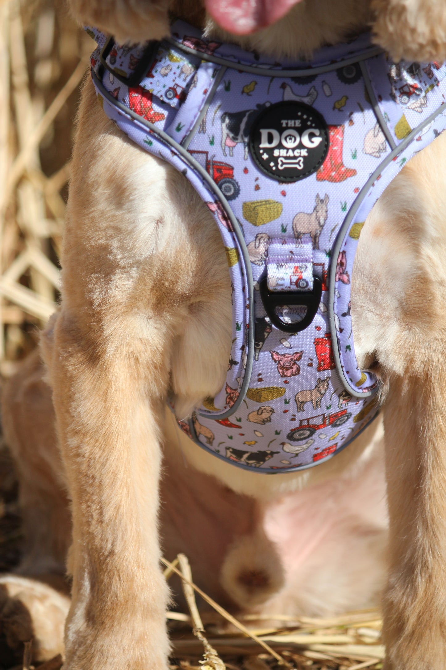 Adjustable 1 Clip & 3 harness - Freddie's Farm