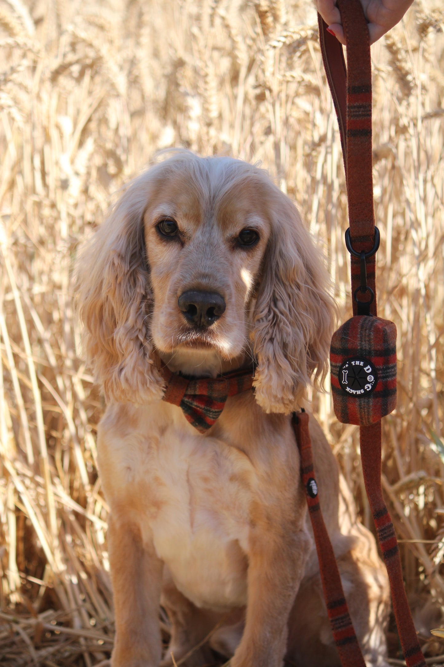 Poo Bag Holder  - Orange Tweed