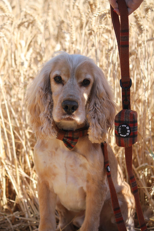 Poo Bag Holder  - Orange Tweed