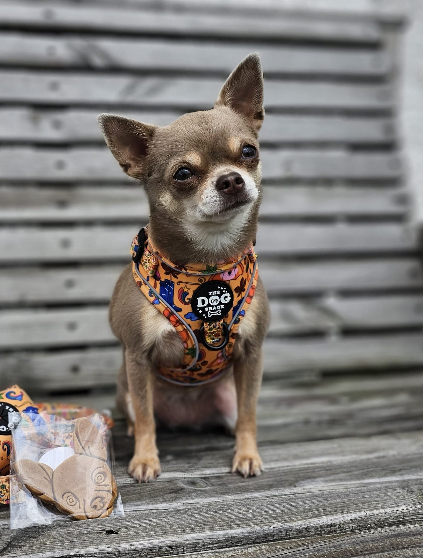 Autumn Leaves & Walkies Please Adjustable Harness