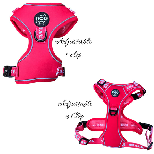 The Active Range 1 Clip &  3 clip harness - Neon Red