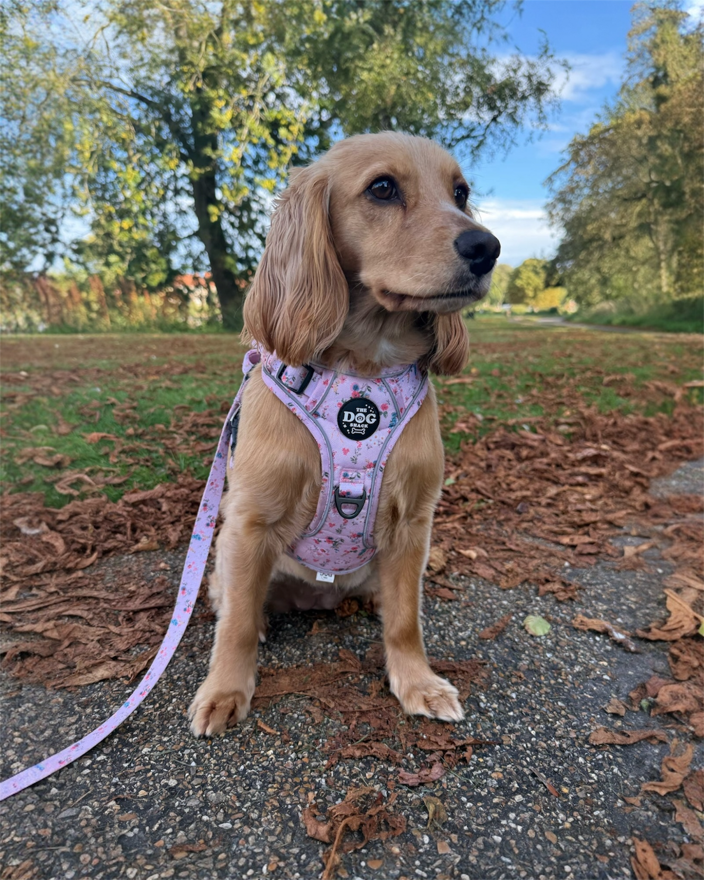 Adjustable 1 Clip & 3 Clip Harness  - Matildas Garden