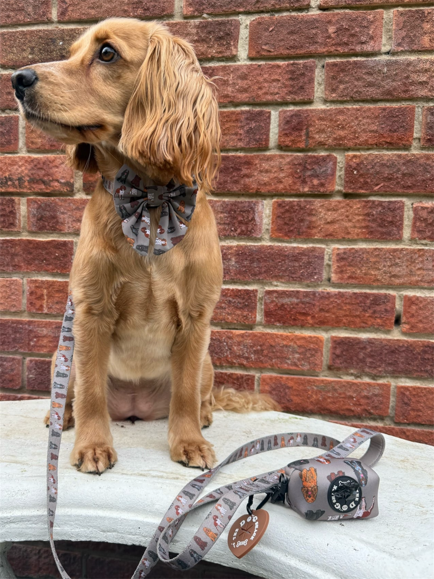 Poo Bag Holder  - Spaniel