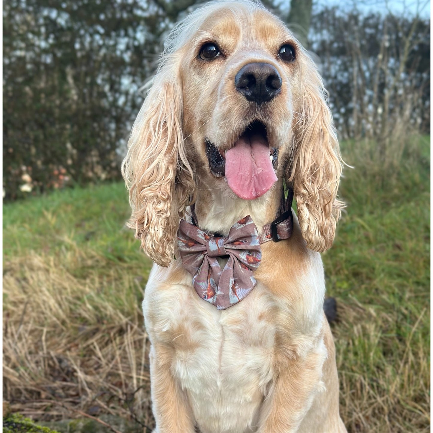 Sailor Bow Tie  - Pheasant