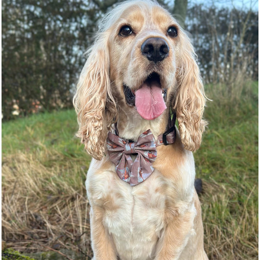 Sailor Bow Tie  - Pheasant