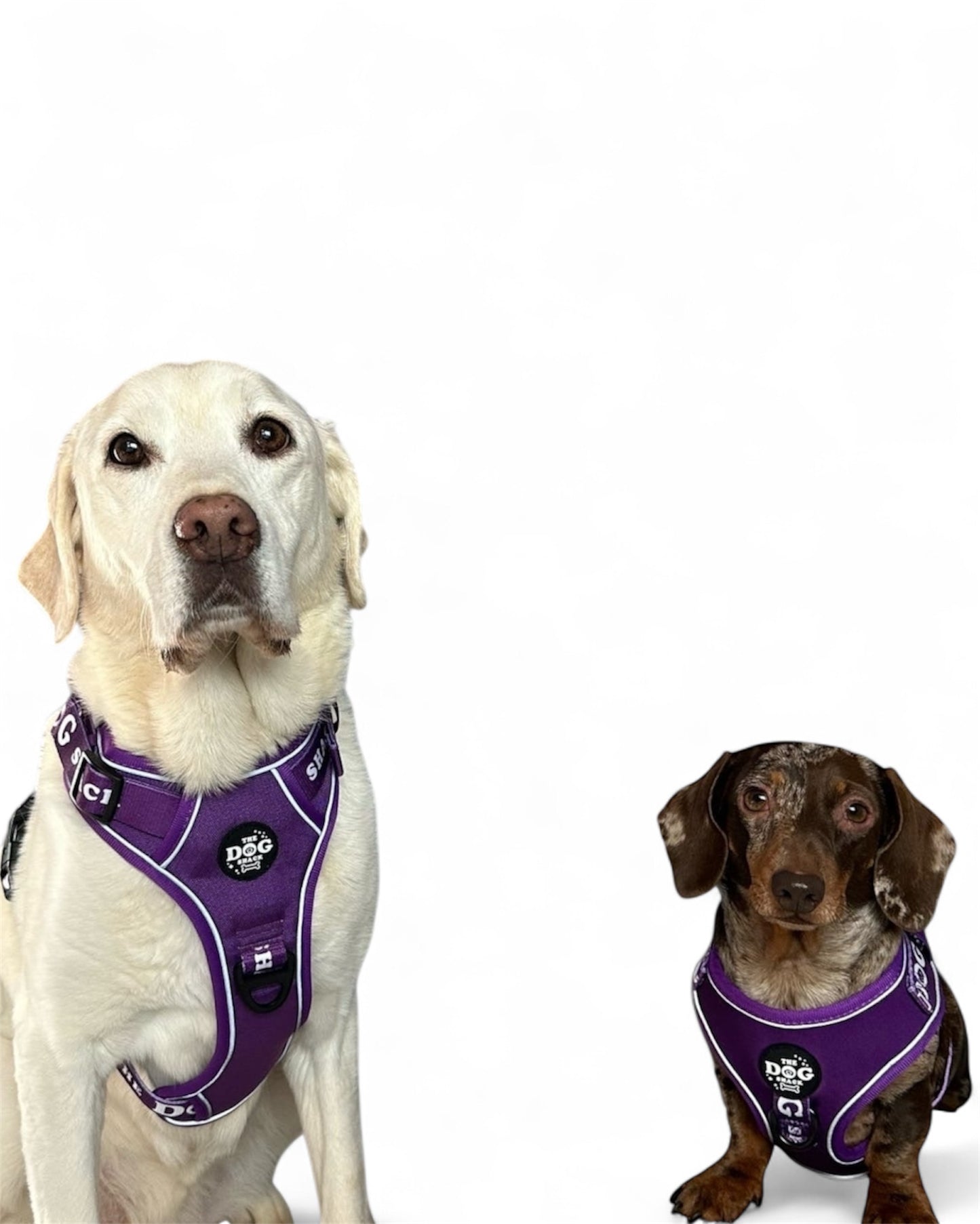 The Active Range 3 Clip harness - Neon Purple size large was £34