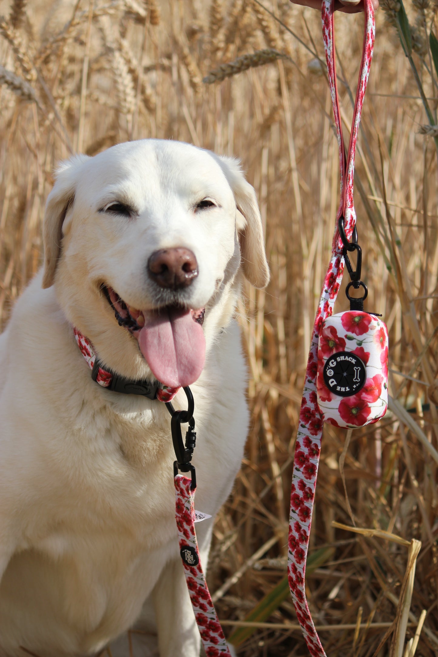 Poo Bag Holder  -Poppies