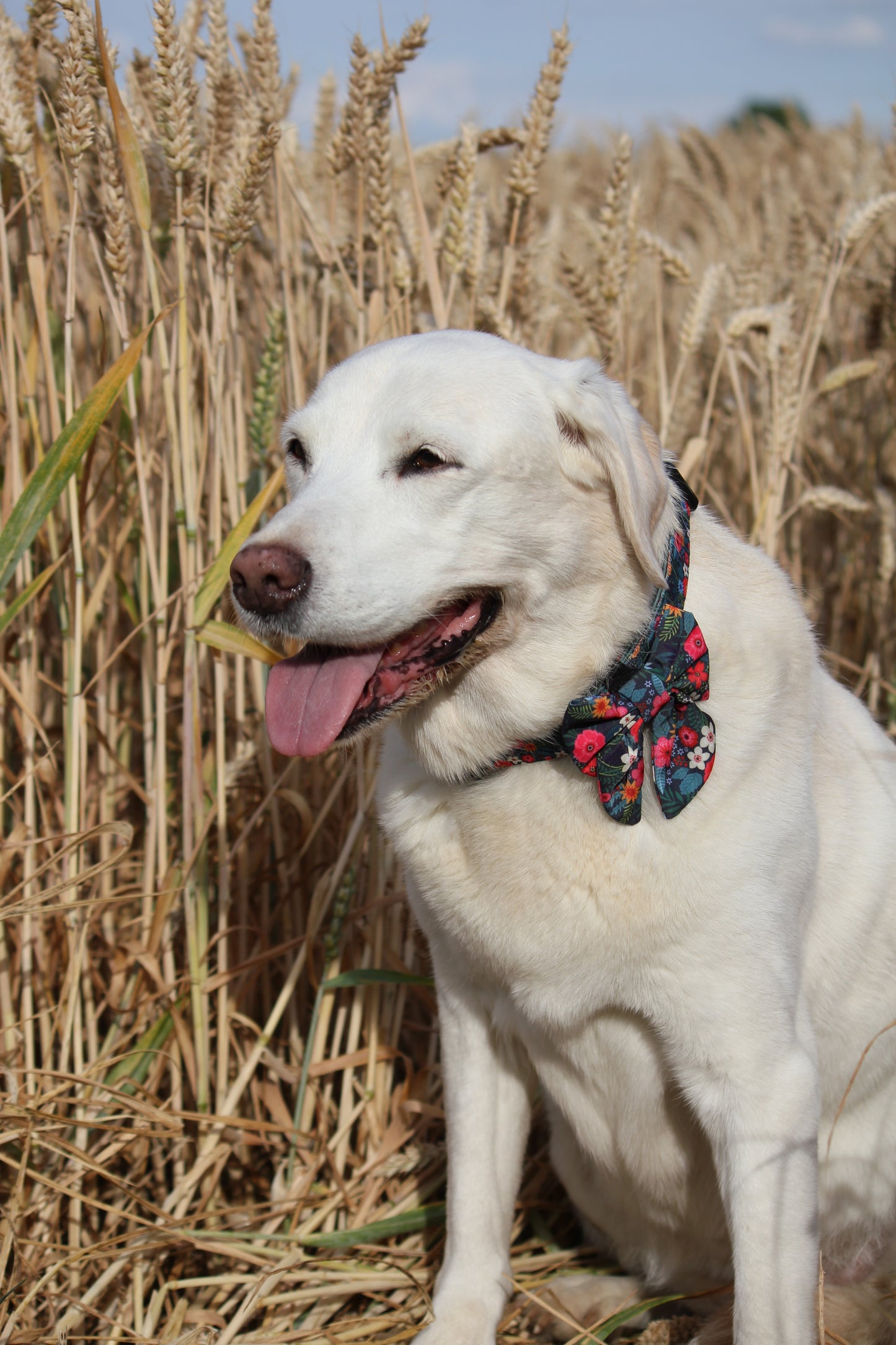 Sailor Bow Tie - Ditsy Flowers