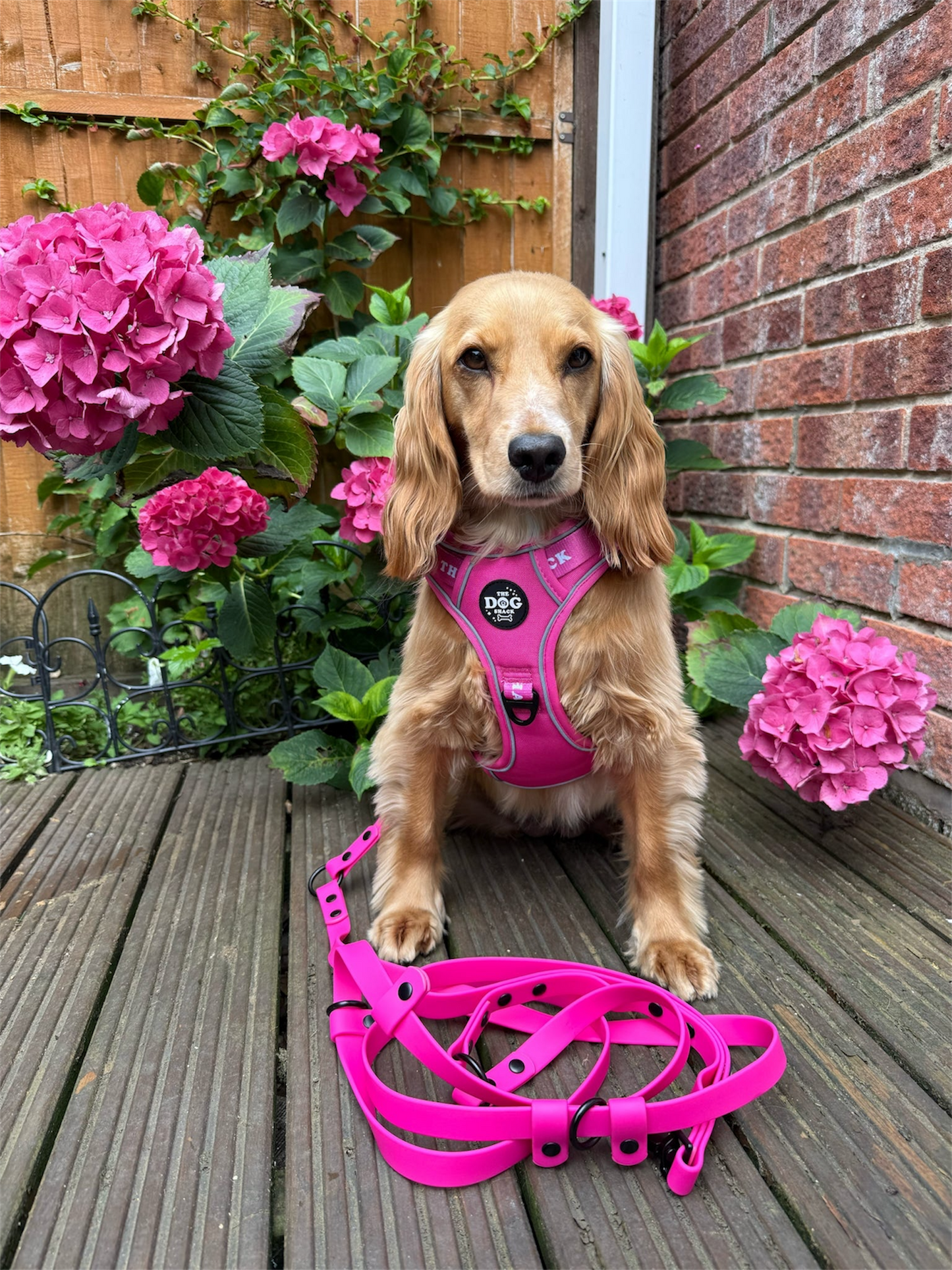 The Active Range 3 clip harness - Neon Pink size large was £34