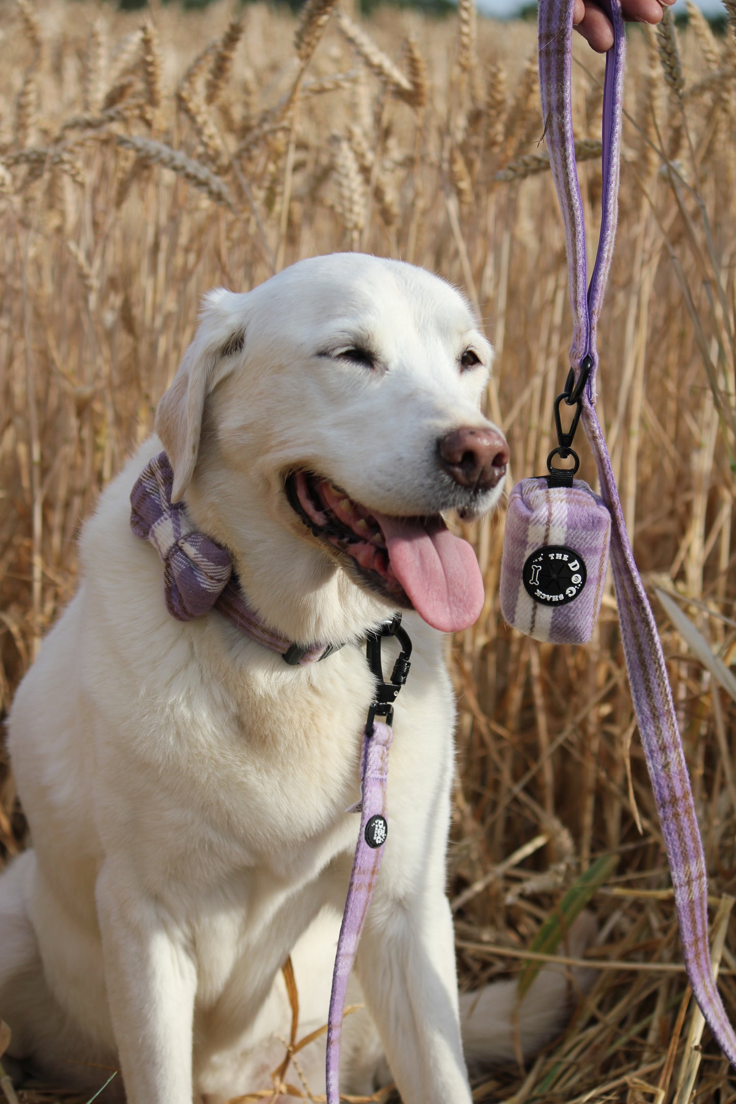 Poo Bag Holder  - Lavender Tweed