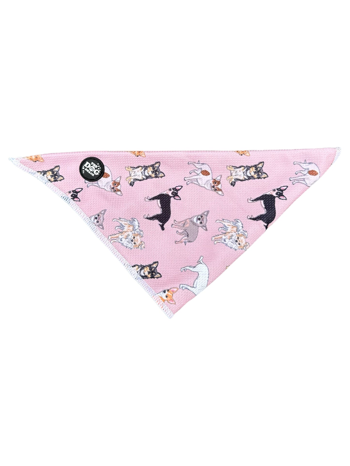 Tie On Bandana - Lola & Friends - Chihuahua Collections