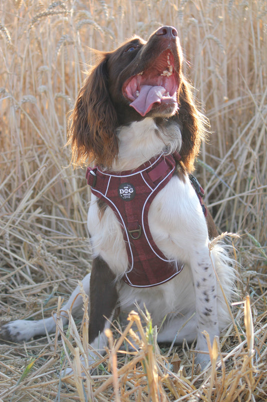 Adjustable 1 Clip & 3 clip harness - Red Tweed