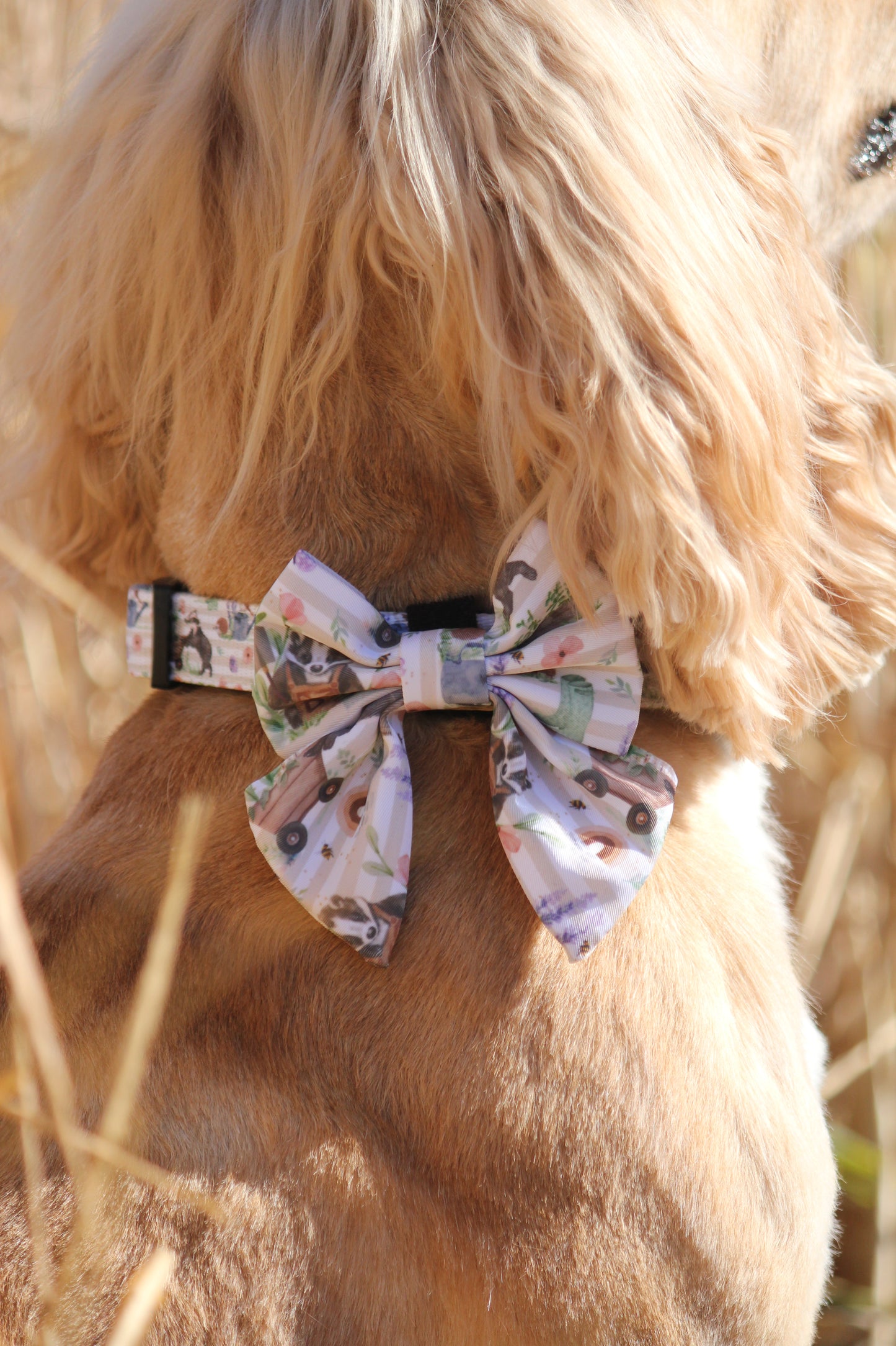 Sailor Bow Tie  - Badger & Friends