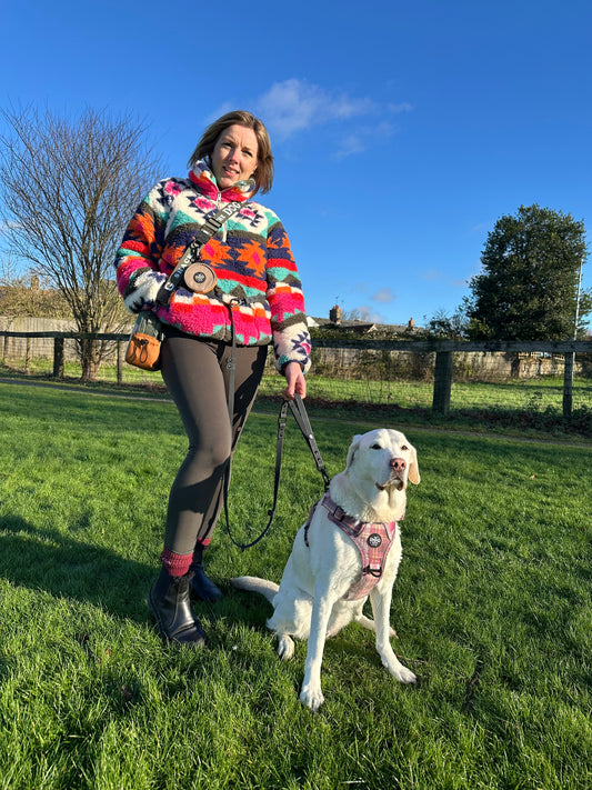 Multi Way Hands Free Dog Lead - Black