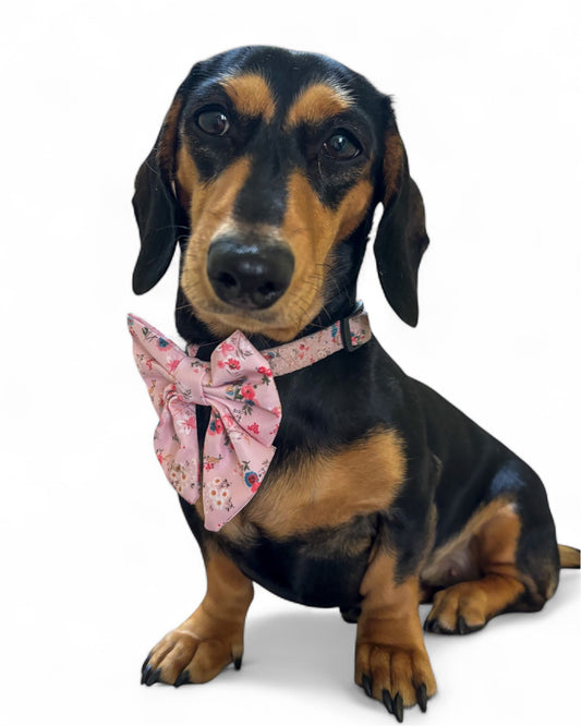 Sailor Bow Tie  - Matildas Garden