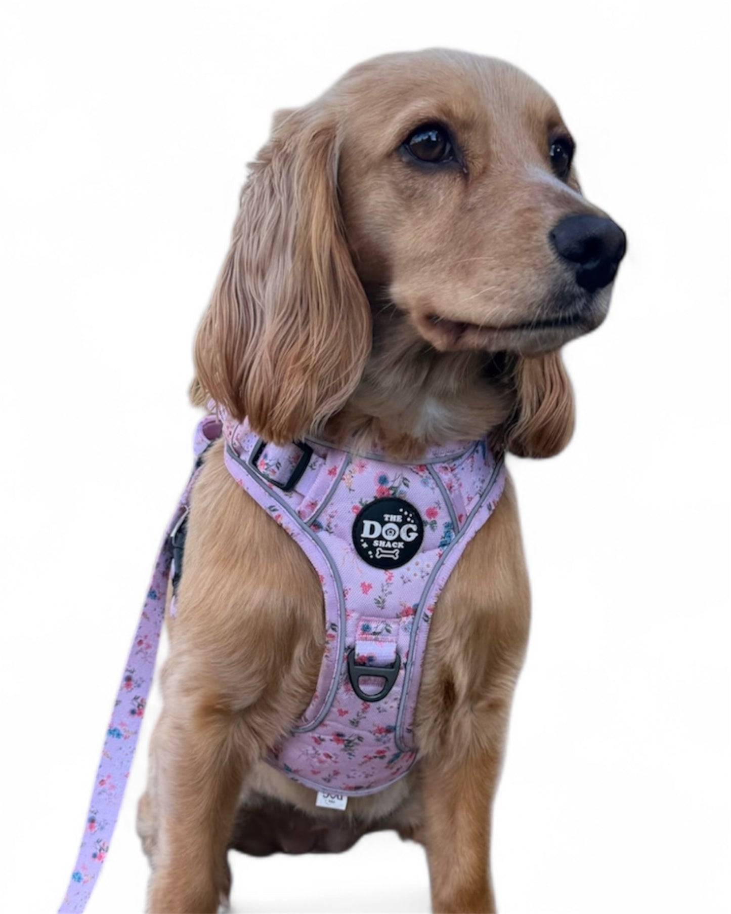 Adjustable 1 Clip & 3 Clip Harness  - Matildas Garden