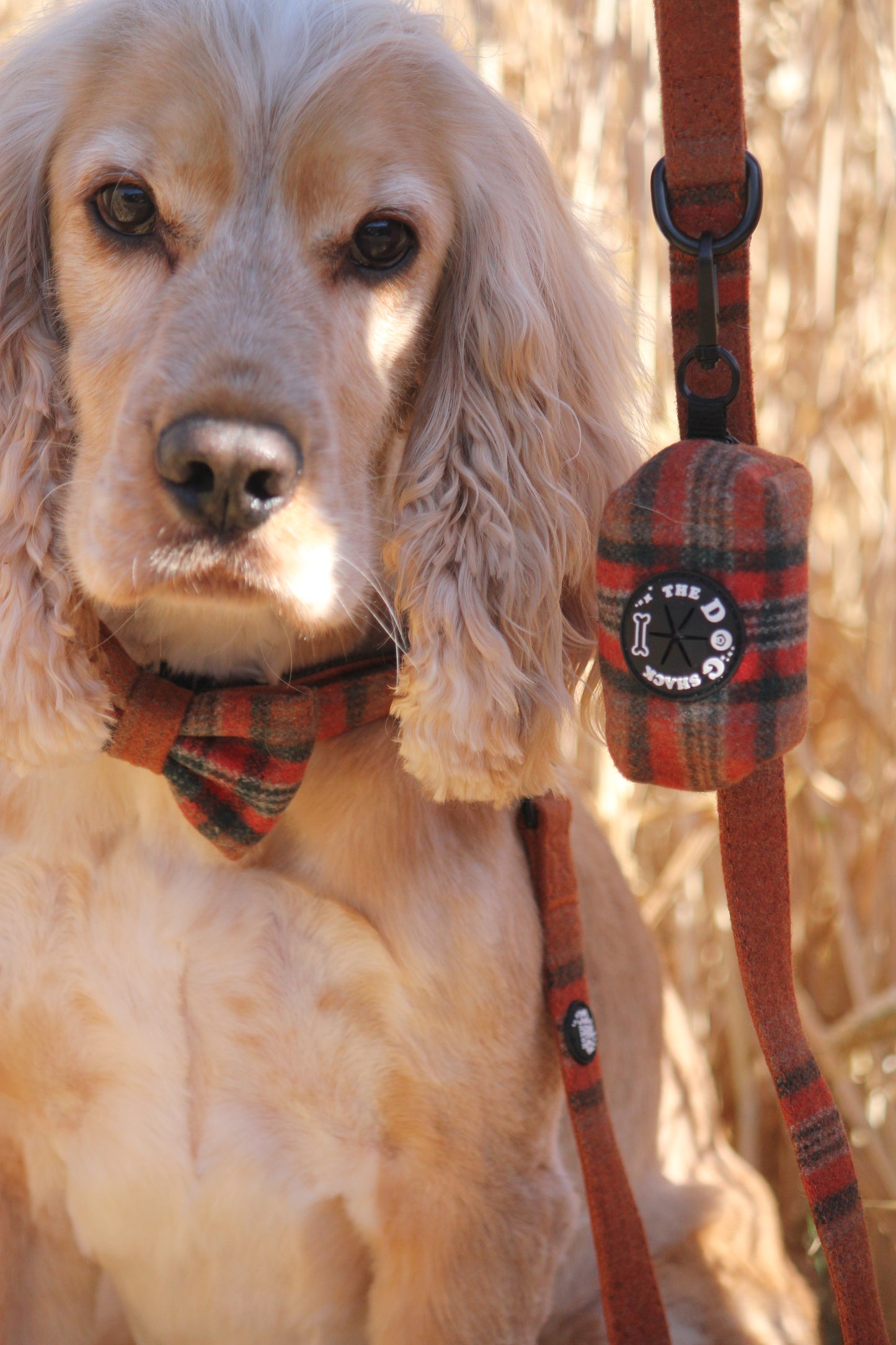 Poo Bag Holder  - Orange Tweed