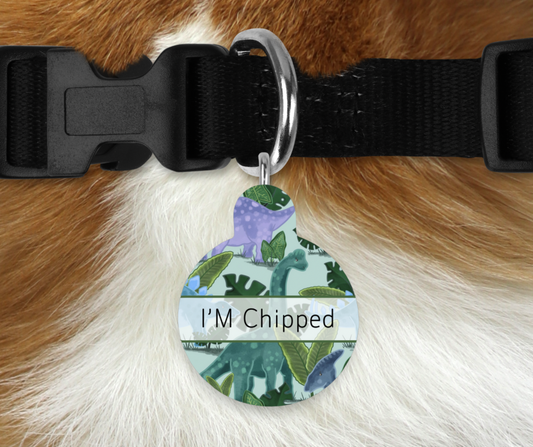 Personalised Pet ID Tags - Dino Paws