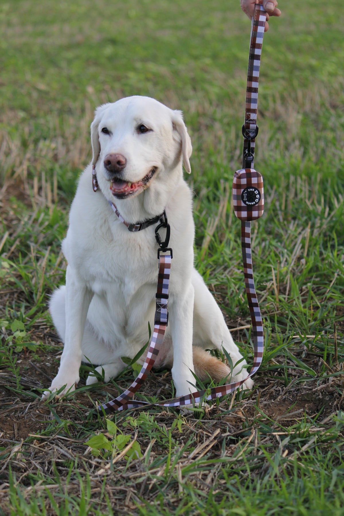 Norfolk Gingham Adjustable Dog Lead – Country Style