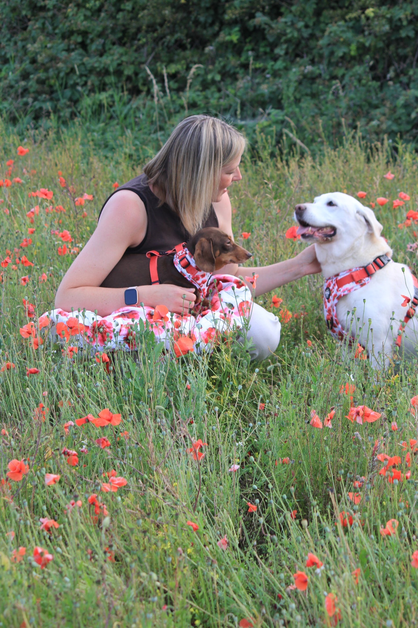 Adjustable 1 Clip & 3 clip harness - Poppies