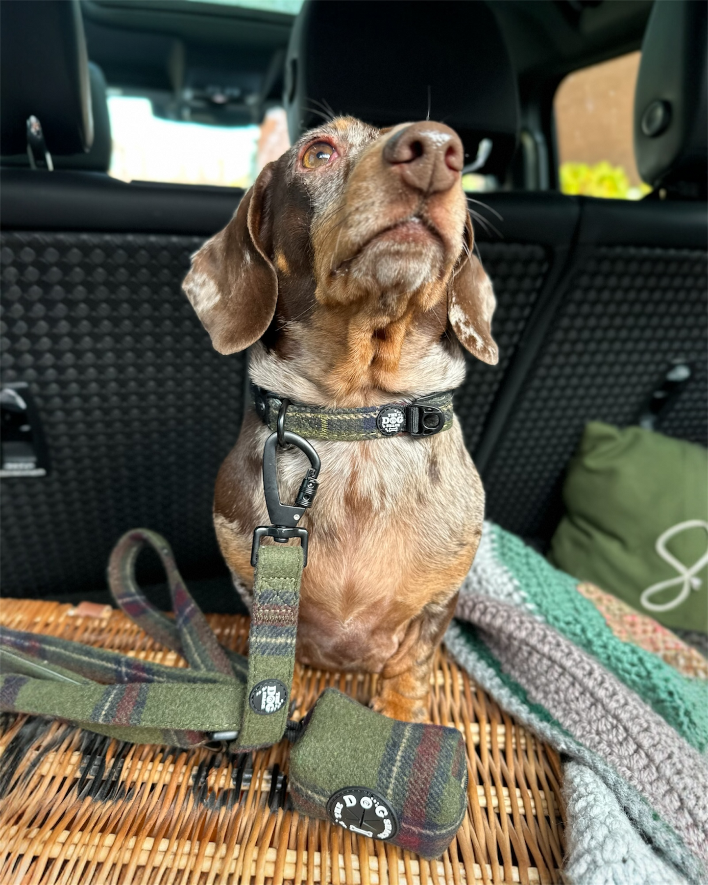 Collar - Green Tweed
