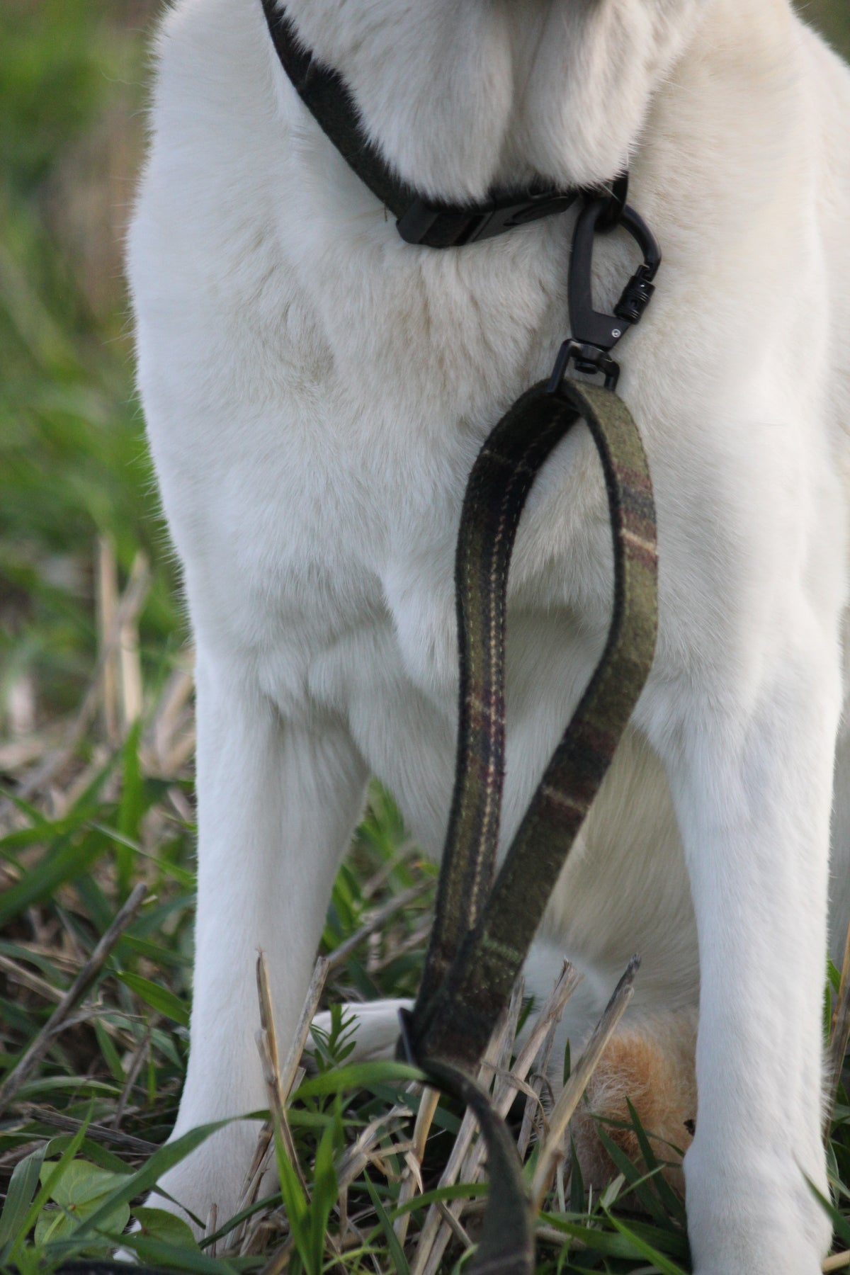 Green Tweed Adjustable Dog Lead – Country Style