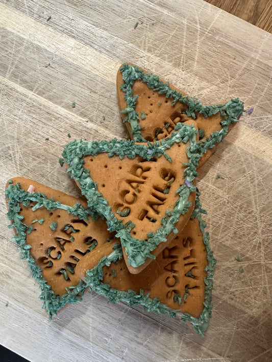 Scary Tails Grain Free Biscuit