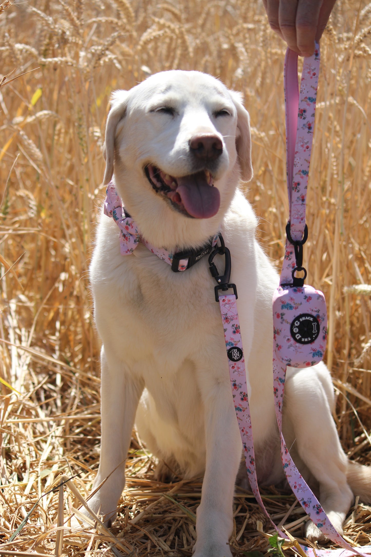 Poo Bag Holder  - Matildas Garden
