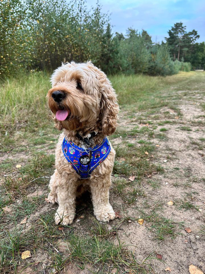 The Dog Shack Official Adjustable Harness size medium was £25