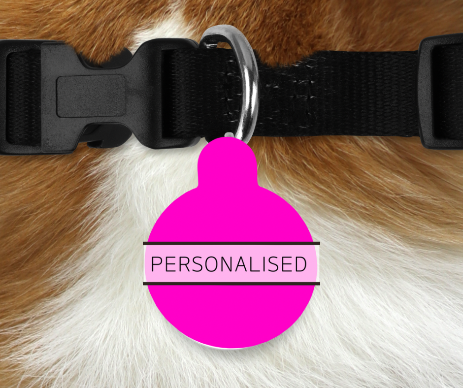 Personalised Pet ID Tags -Neon Pink