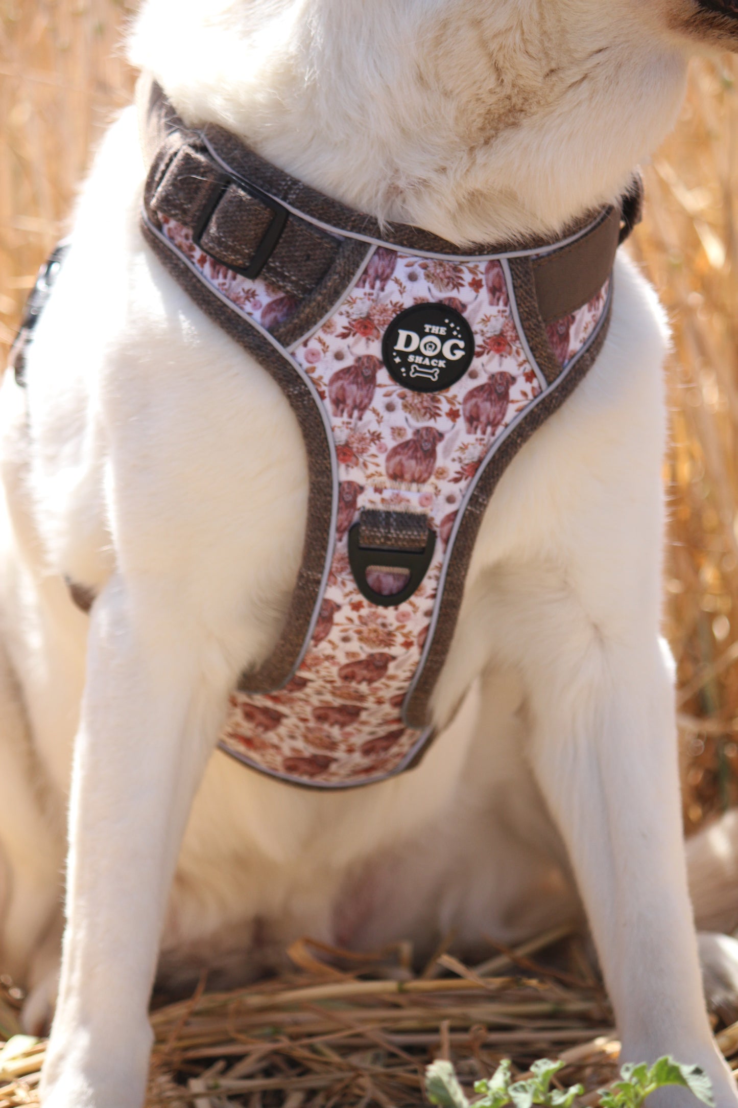 Adjustable 1 Clip & 3 harness - Brown Tweed x Highland Cow