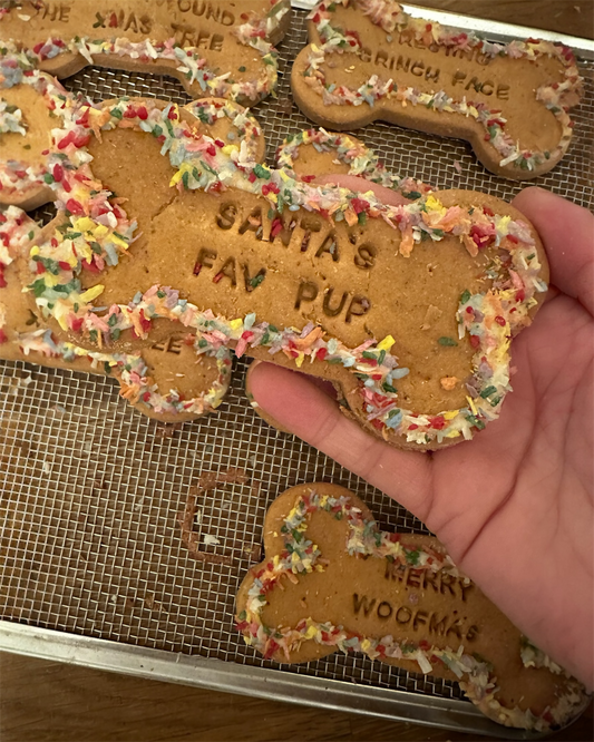SANTAS FAV PUP Grainfree Dog Biscuit