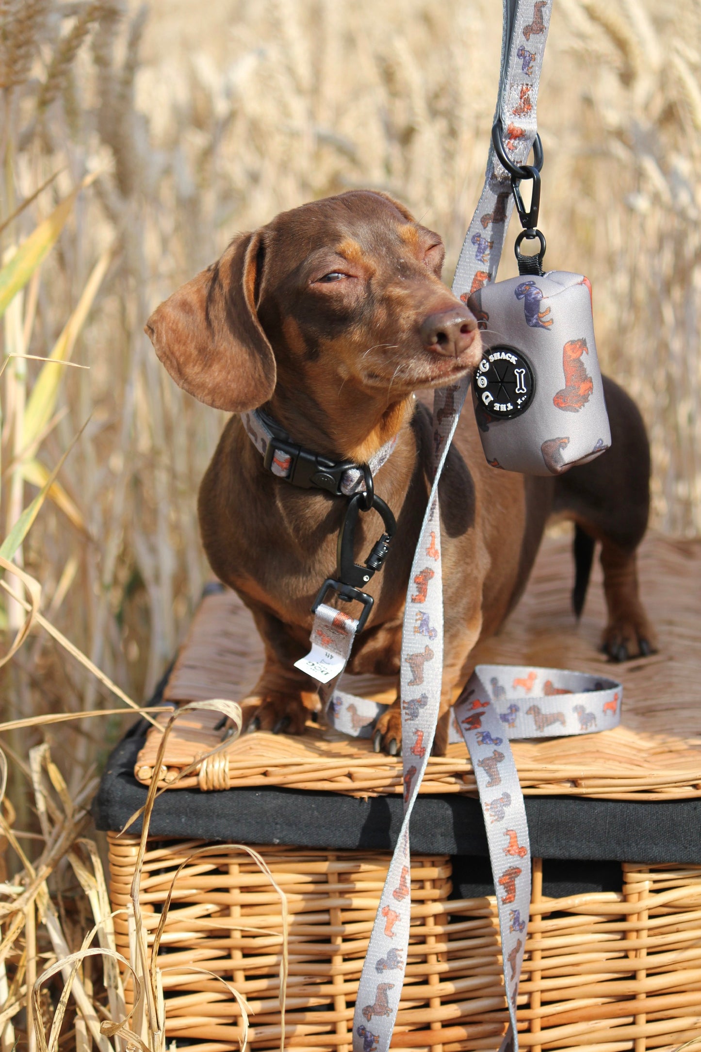Poo Bag Holder  - Clever Little Sausages