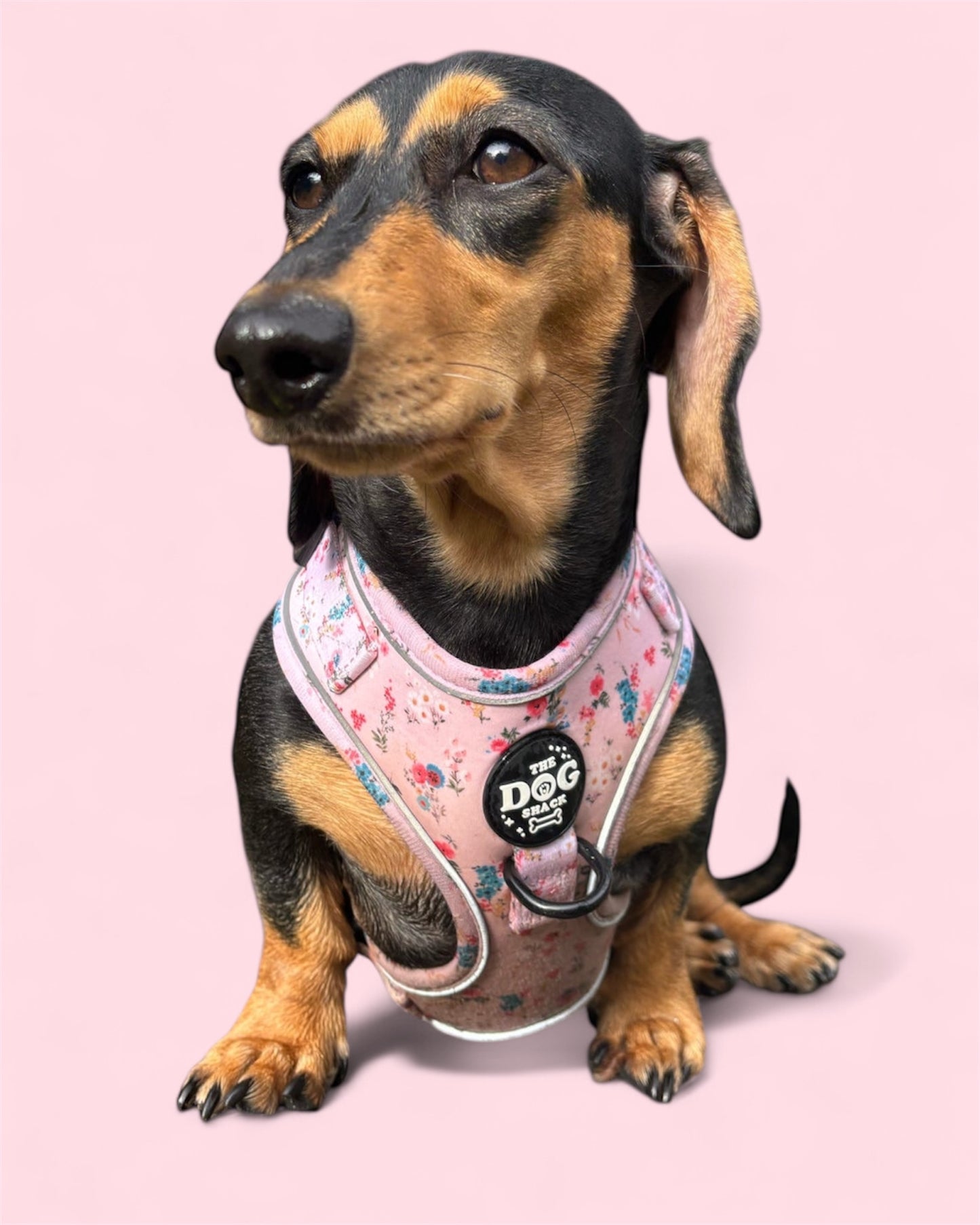 Adjustable 1 Clip & 3 Clip Harness  - Matildas Garden